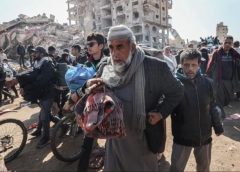 Jalan Kaki dan Bawa Gerobak, Ribuan Warga Gaza Palestina Pulang ke Rumah