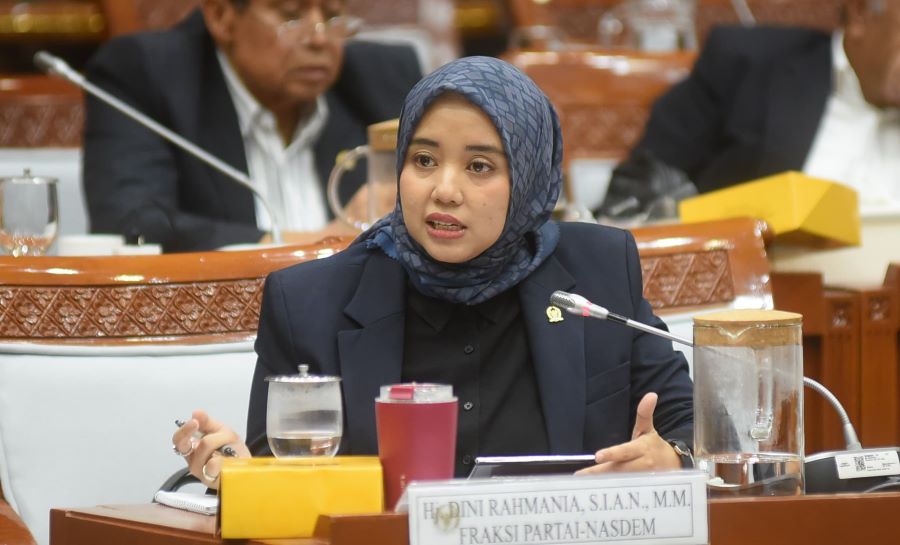 anggota dpr desak pemerintah