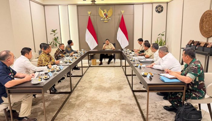 presiden prabowo subianto turun tangan