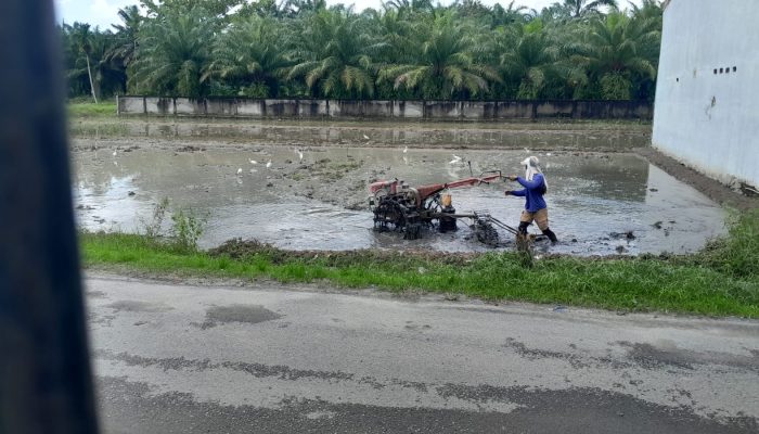 Kondisi cuaca di Sumut pada Kamis 15 Januari 2026 sebagian hujan ringan namun didominasi berawan. TOPMETRO.NEWS | DP SILALAHI
