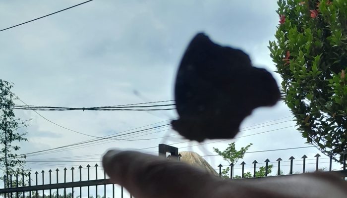 Kondisi cuaca di Sumut. DP SILALAHI