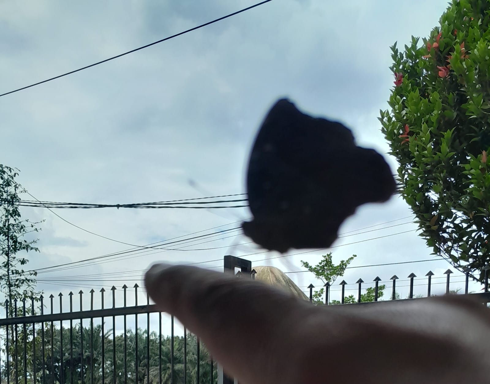 Kondisi cuaca di Sumut. DP SILALAHI