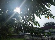 Kondisi cuaca di Sumut. DP SILALAHI