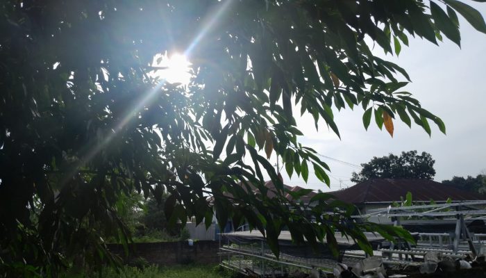 Kondisi cuaca di Sumut. DP SILALAHI