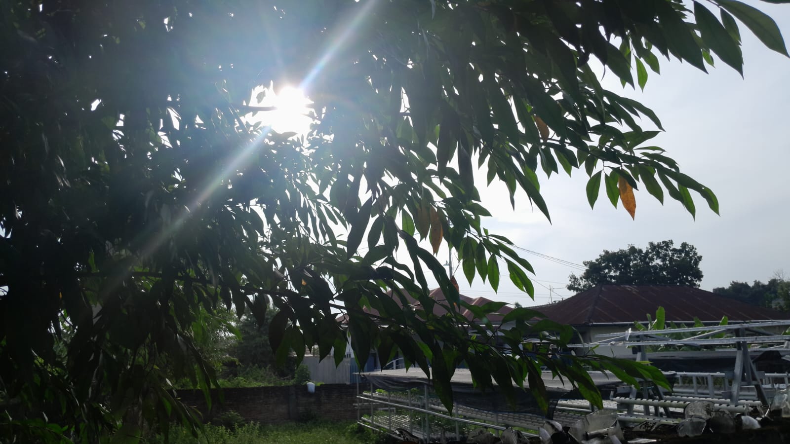 Kondisi cuaca di Sumut. DP SILALAHI