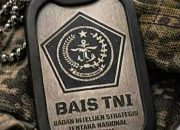 Sikap Ksatria Kabais TNI: Komitmen Personal dan Institusional TNI untuk Indonesia Damai