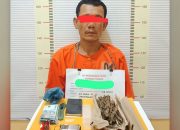 Polres Tapteng Ringkus ‘Kongo’, Pengedar Paket Lengkap Ganja dan Sabu di Lubuk Tukko