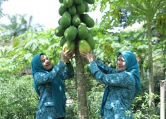 Desa Persatuan dan Rahuning Siap Mengikuti Lomba HKG Sumut 