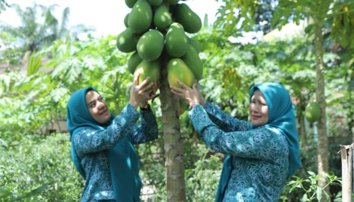 Desa Persatuan Kecamatan Pulau Rakyat dan Desa Rahuning Kecamatan Rahuning siap mengikuti lomba Hari Kesatuan Gerak (HKG) PKK tingkat Sumut tahun 2026. Demikian dikatakan Ketua PKK Asahan, Ny Yusnila didampingi Staf Ahli PKK Asahan, Ny Juni saat melakukan monitoring dan evaluasi di kedua desa, Senin (8/6).