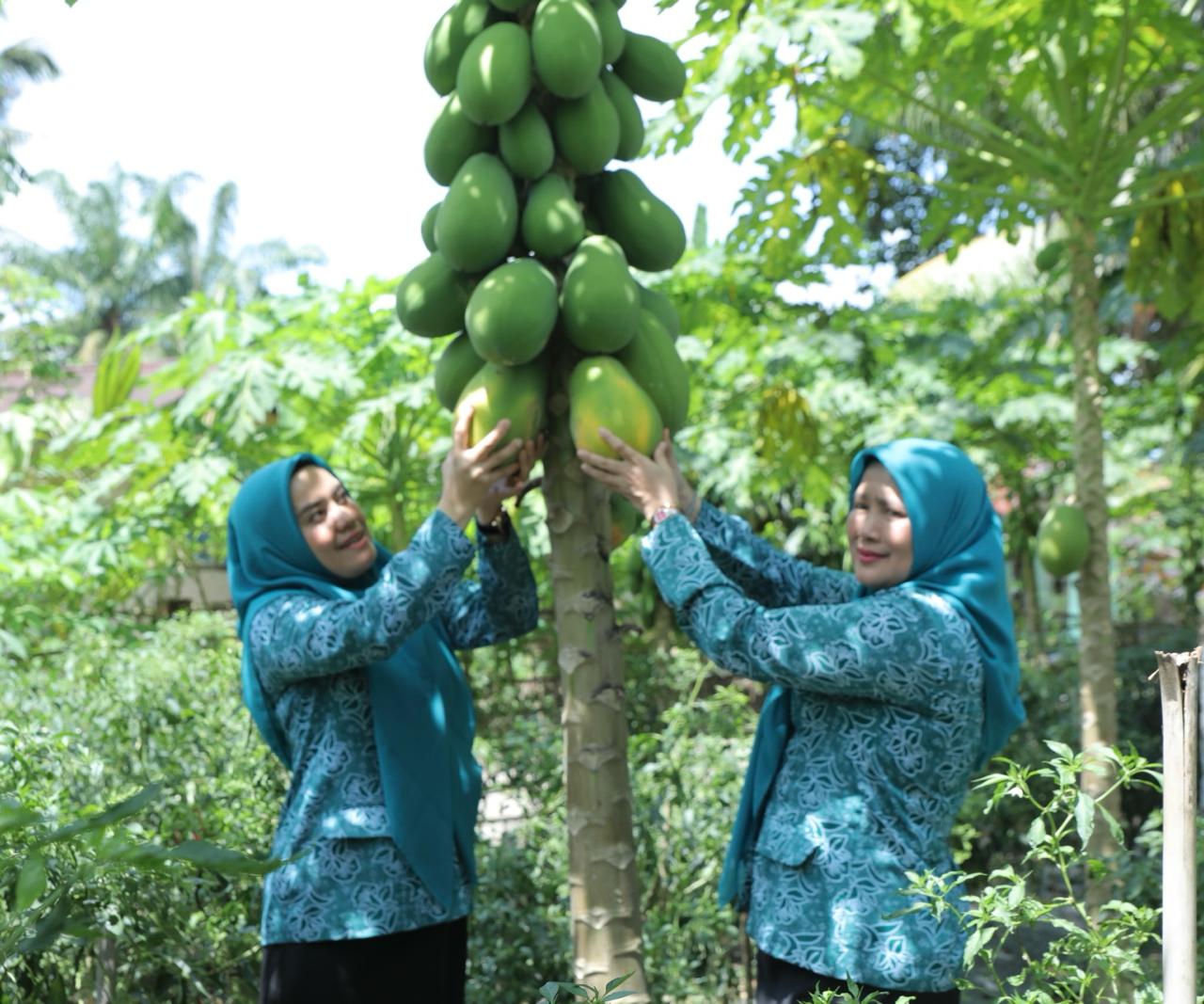 Desa Persatuan Kecamatan Pulau Rakyat dan Desa Rahuning Kecamatan Rahuning siap mengikuti lomba Hari Kesatuan Gerak (HKG) PKK tingkat Sumut tahun 2026. Demikian dikatakan Ketua PKK Asahan, Ny Yusnila didampingi Staf Ahli PKK Asahan, Ny Juni saat melakukan monitoring dan evaluasi di kedua desa, Senin (8/6).