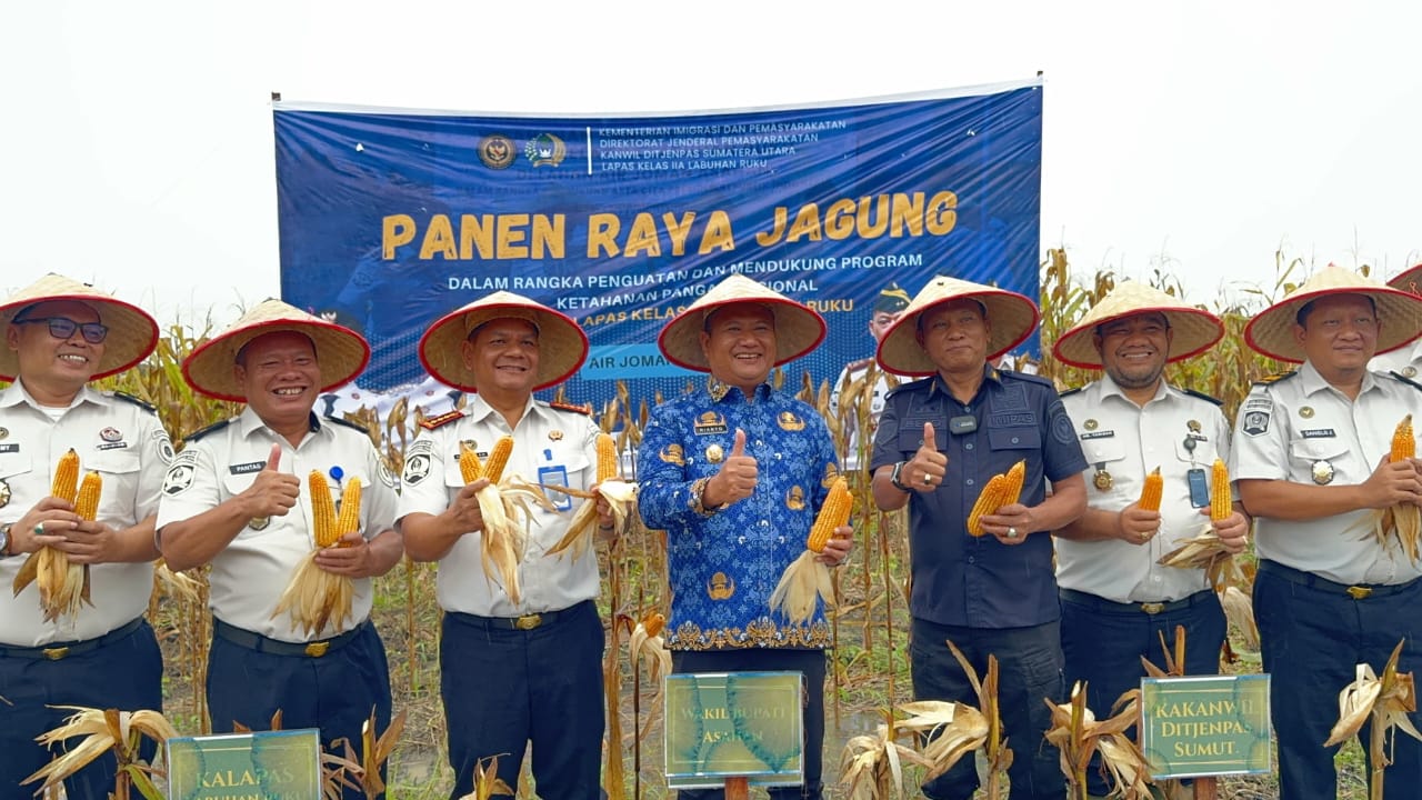Wakil Bupati Asahan Rianto SH MAP, Kabagtum Kanwil Ditjen Imigrasi dan Pemasyarakatan Provsu Bejo SH MH dan Kalapas Labuhan Ruku Dr Hamdi Hasibuan melakukan panen raya jagung di Lapas Minimum Security Asahan, Rabu (17/6).