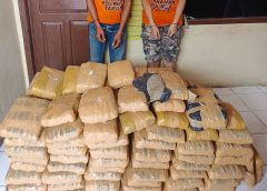 Sat Narkoba Polres Taput Amankan 2 Kurir Narkoba, 112 Paket Ganja Kering Disita