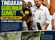 Masyarakat Apresiasi Tindakan Gubernur Sumatera Utara Tertibkan PETI di Bumi Gordang Sembilan