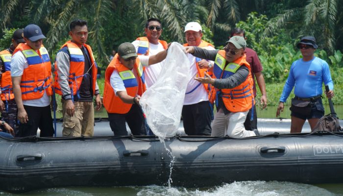 Bupati Asahanbersama Forkopimda menabur bibit ikan dan menanam pohon di pinggiran sungai Asahan, saat membuka Festival Sungai Asahan, Sabtu (29/8).