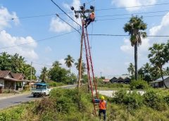 Dari Posko NTT, Dirut PLN Kawal Langsung Kelistrikan Nasional Jelang HUT ke-81 Kemerdekaan RI