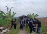 Satres Narkoba Polres Binjai Grebek Barak di Tengah Kebun Jagung, Puluhan Bong Sabu Disita